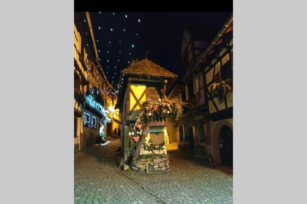 Gite A Eguisheim Proche De Colmar Et Kaysergberg. Eksteriør bilde
