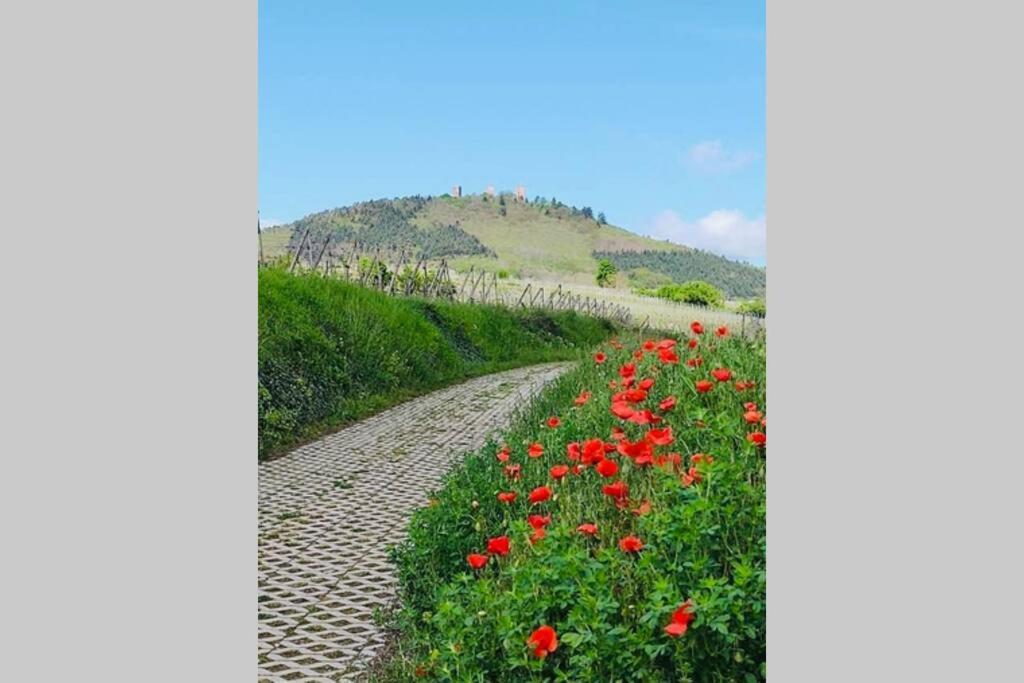 Gite A Eguisheim Proche De Colmar Et Kaysergberg. Eksteriør bilde