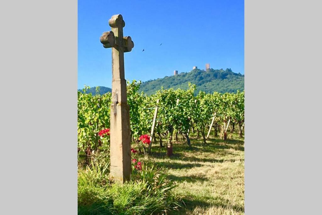 Gite A Eguisheim Proche De Colmar Et Kaysergberg. Eksteriør bilde