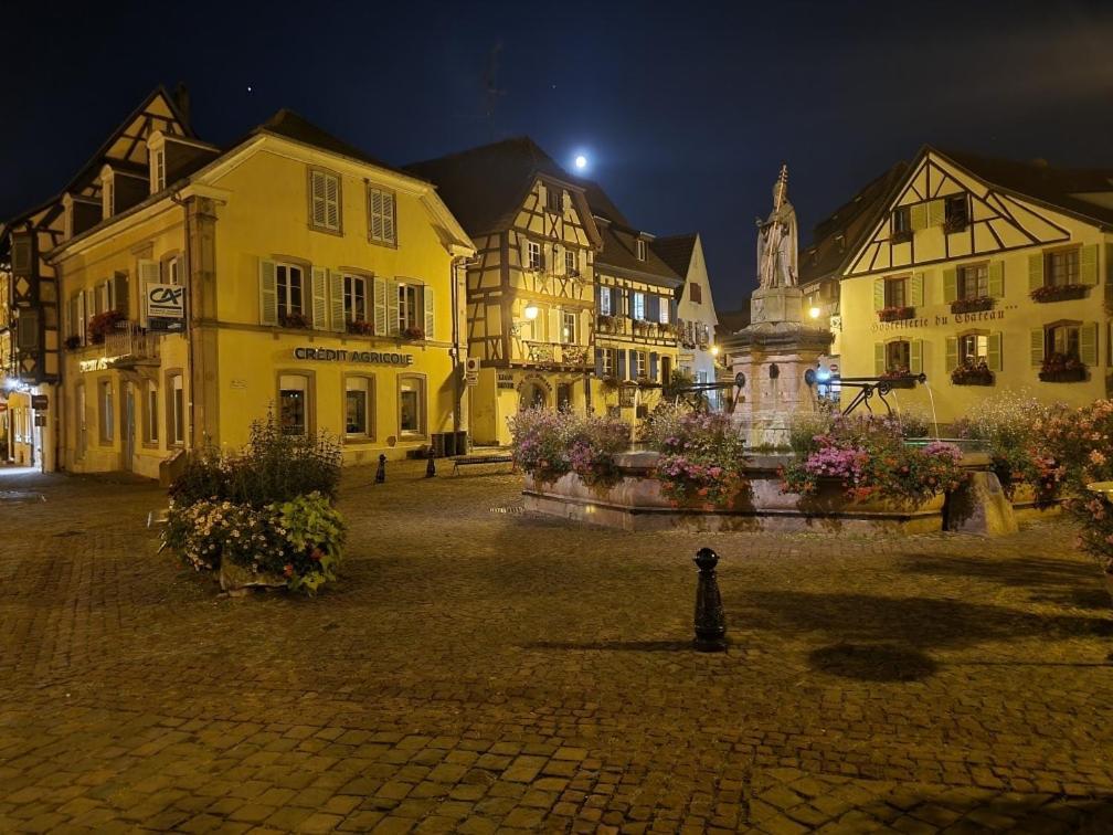 Gite A Eguisheim Proche De Colmar Et Kaysergberg. Eksteriør bilde